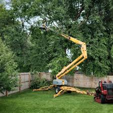 Best Lawn Mowing  in Wolf Trap, VA