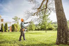 Best Seasonal Cleanup (Spring/Fall)  in Wolf Trap, VA