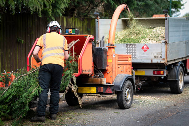 Best Lawn Drainage Solutions  in Wolf Trap, VA