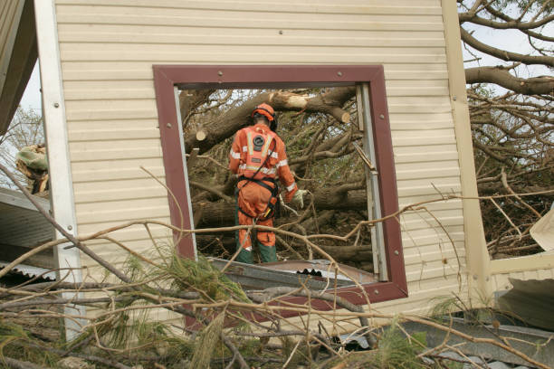 Best Fruit Tree Pruning  in Wolf Trap, VA