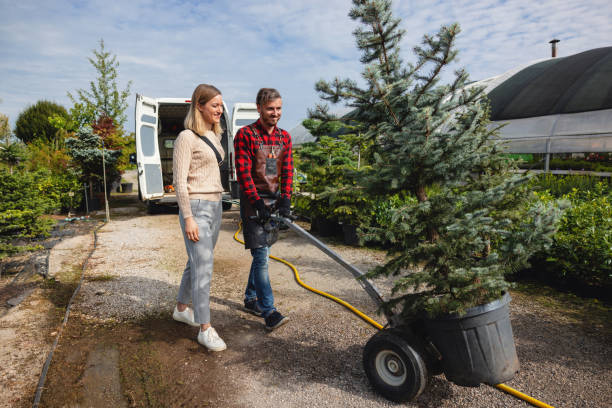 Best Hazardous Tree Removal  in Wolf Trap, VA